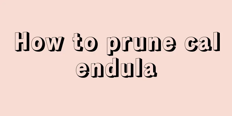 How to prune calendula