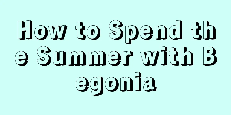 How to Spend the Summer with Begonia