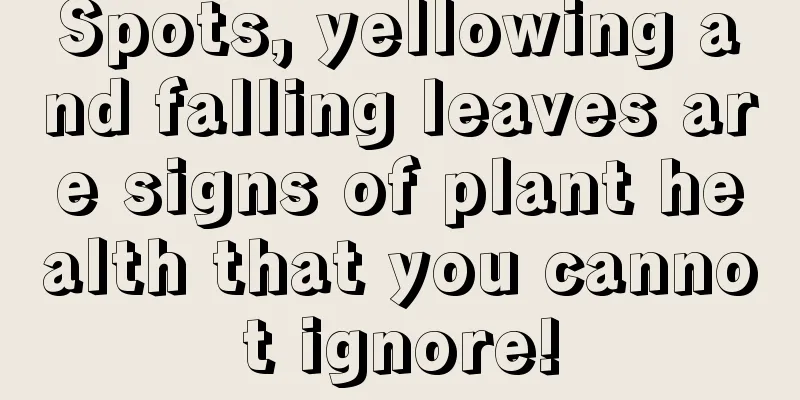 Spots, yellowing and falling leaves are signs of plant health that you cannot ignore!