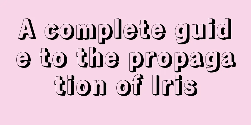 A complete guide to the propagation of Iris