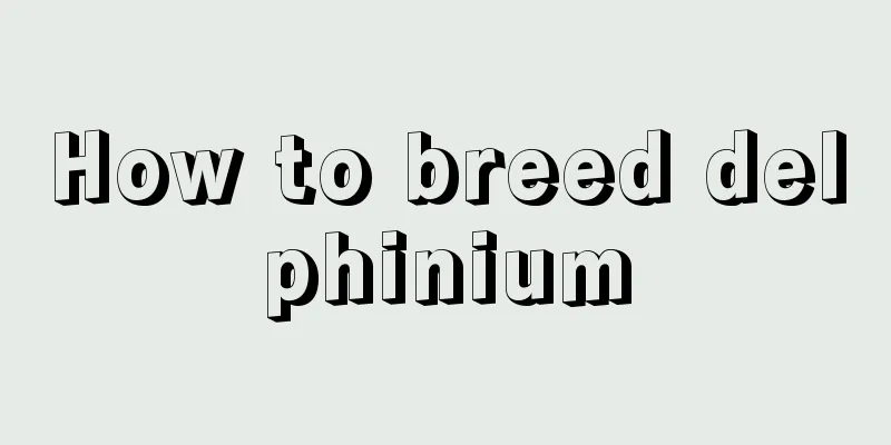 How to breed delphinium