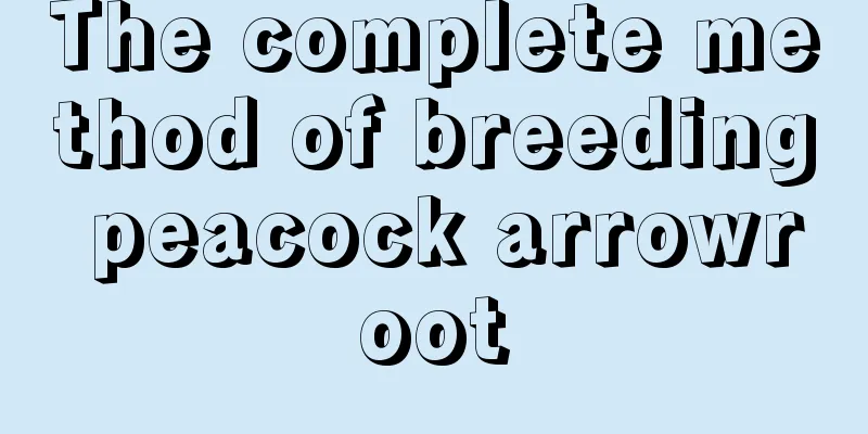 The complete method of breeding peacock arrowroot