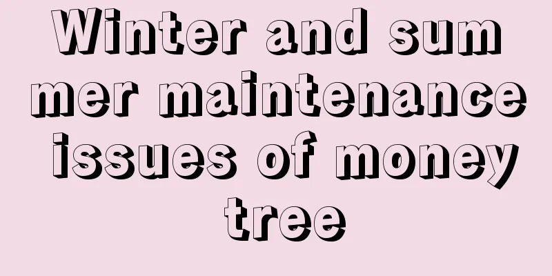 Winter and summer maintenance issues of money tree