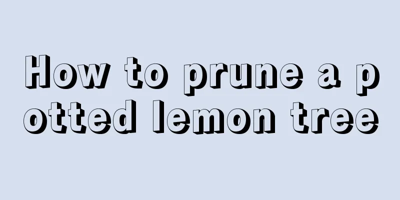 How to prune a potted lemon tree