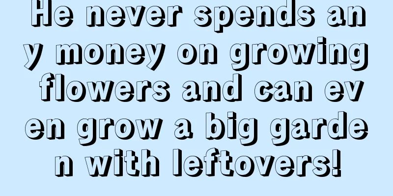 He never spends any money on growing flowers and can even grow a big garden with leftovers!