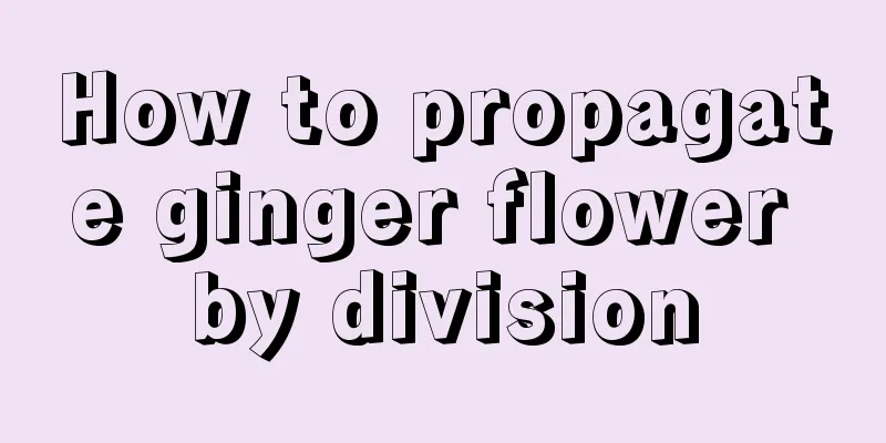 How to propagate ginger flower by division