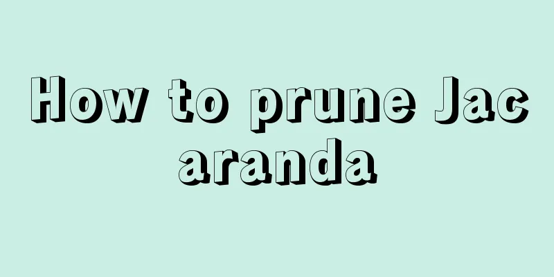 How to prune Jacaranda