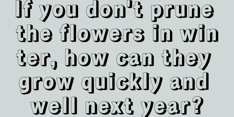 If you don't prune the flowers in winter, how can they grow quickly and well next year?