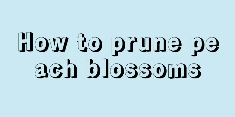 How to prune peach blossoms