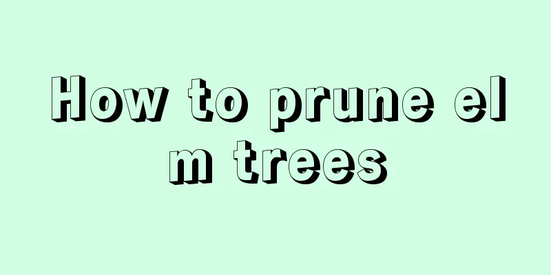 How to prune elm trees