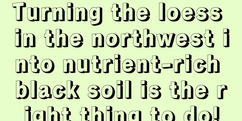 Turning the loess in the northwest into nutrient-rich black soil is the right thing to do!