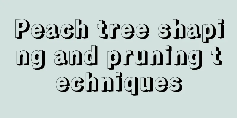 Peach tree shaping and pruning techniques