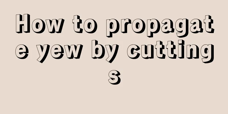 How to propagate yew by cuttings