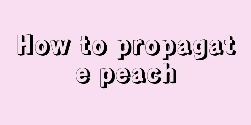 How to propagate peach