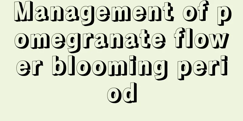 Management of pomegranate flower blooming period