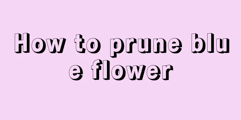 How to prune blue flower