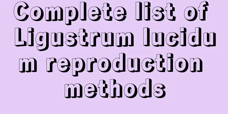 Complete list of Ligustrum lucidum reproduction methods