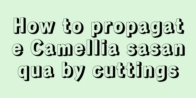 How to propagate Camellia sasanqua by cuttings