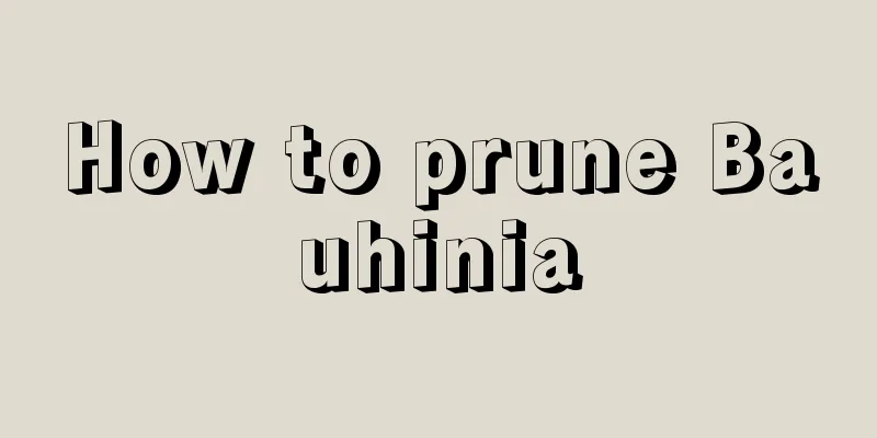 How to prune Bauhinia