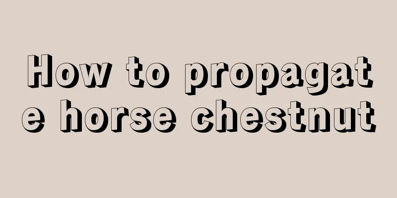 How to propagate horse chestnut