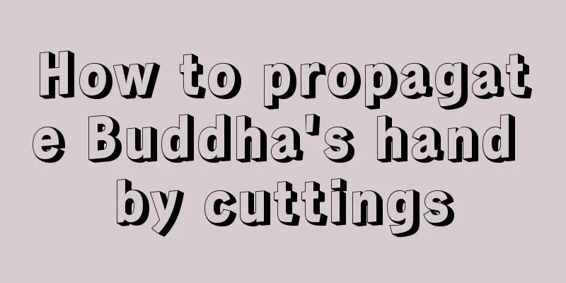 How to propagate Buddha's hand by cuttings