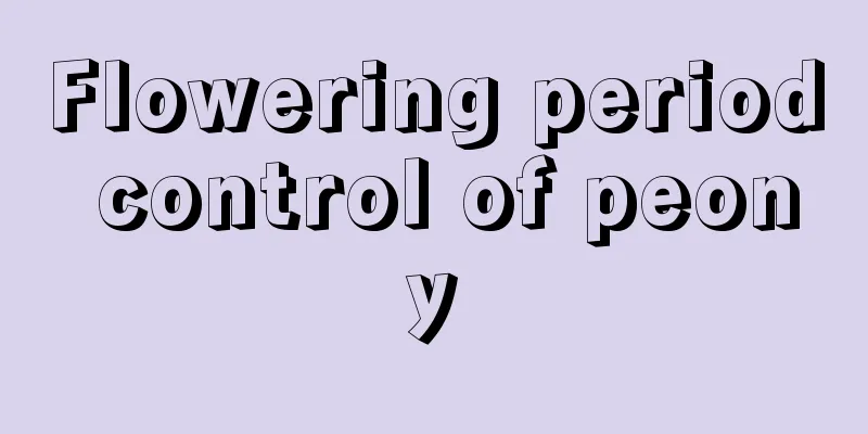 Flowering period control of peony