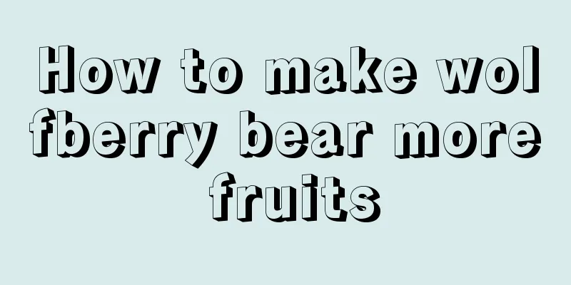 How to make wolfberry bear more fruits