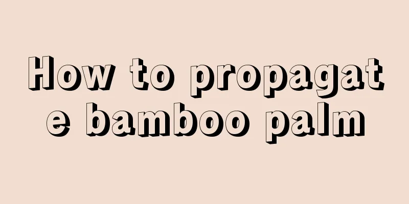 How to propagate bamboo palm