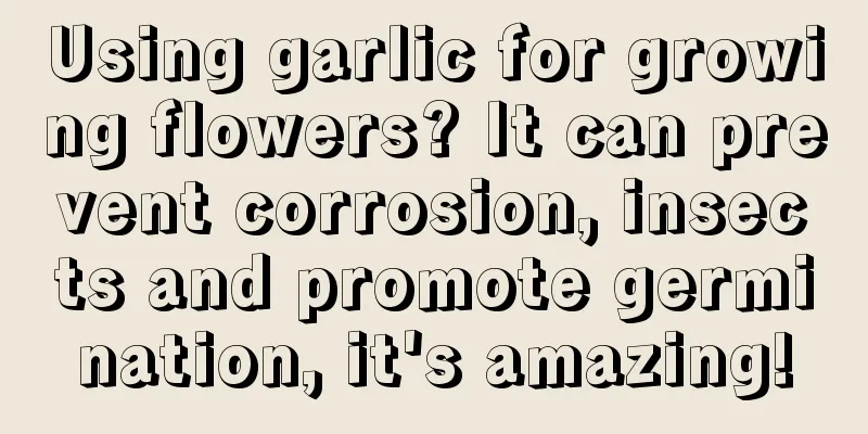 Using garlic for growing flowers? It can prevent corrosion, insects and promote germination, it's amazing!