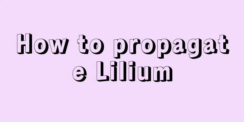 How to propagate Lilium