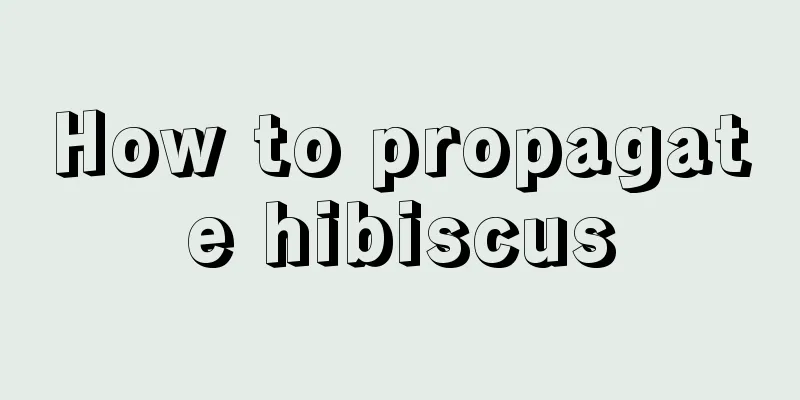 How to propagate hibiscus