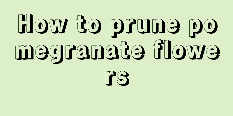 How to prune pomegranate flowers