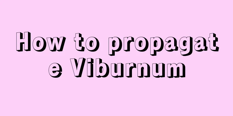 How to propagate Viburnum