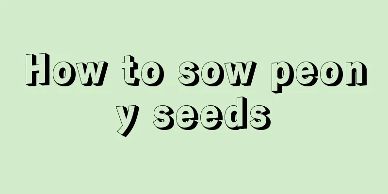 How to sow peony seeds