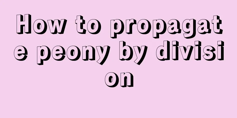 How to propagate peony by division