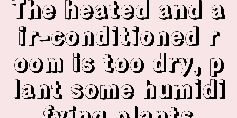 The heated and air-conditioned room is too dry, plant some humidifying plants