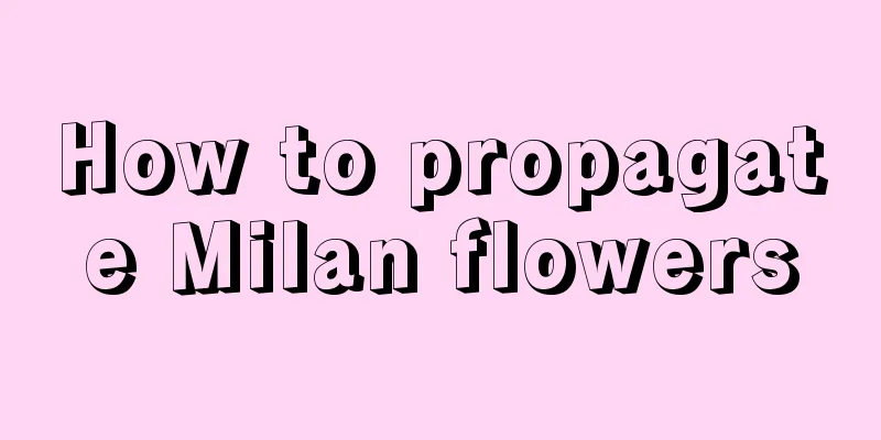 How to propagate Milan flowers