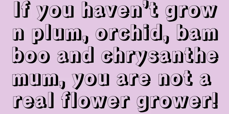 If you haven’t grown plum, orchid, bamboo and chrysanthemum, you are not a real flower grower!