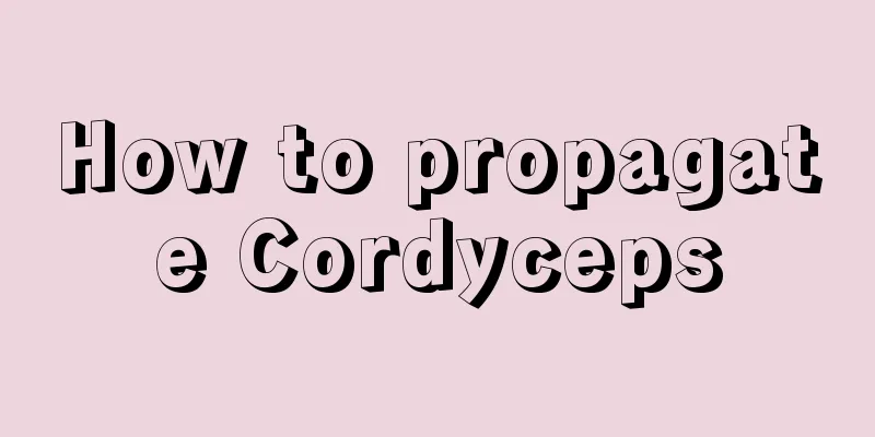 How to propagate Cordyceps