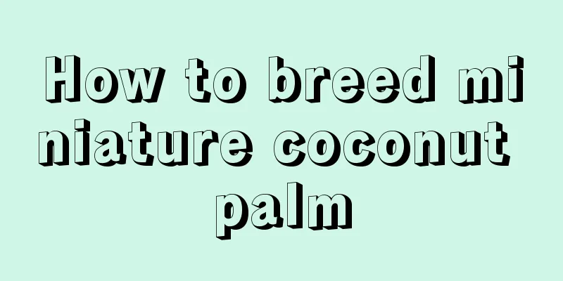 How to breed miniature coconut palm