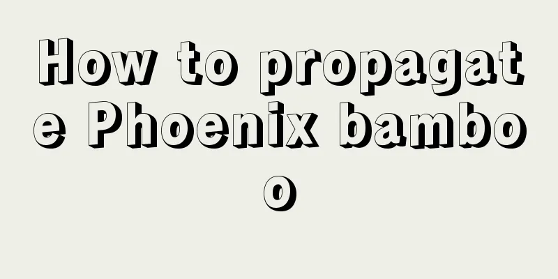 How to propagate Phoenix bamboo