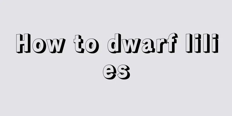 How to dwarf lilies