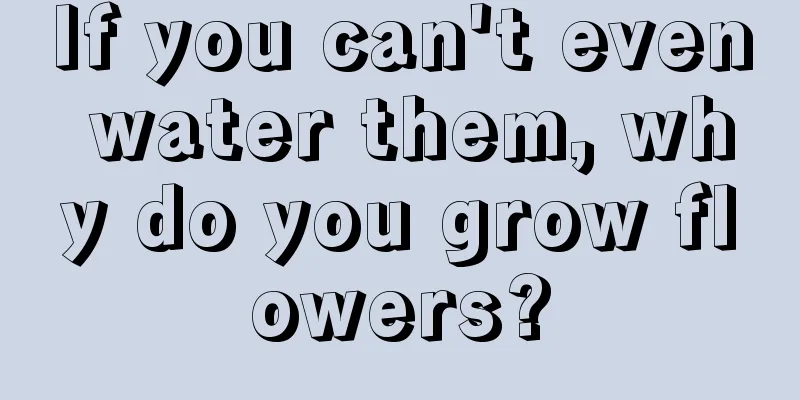 If you can't even water them, why do you grow flowers?