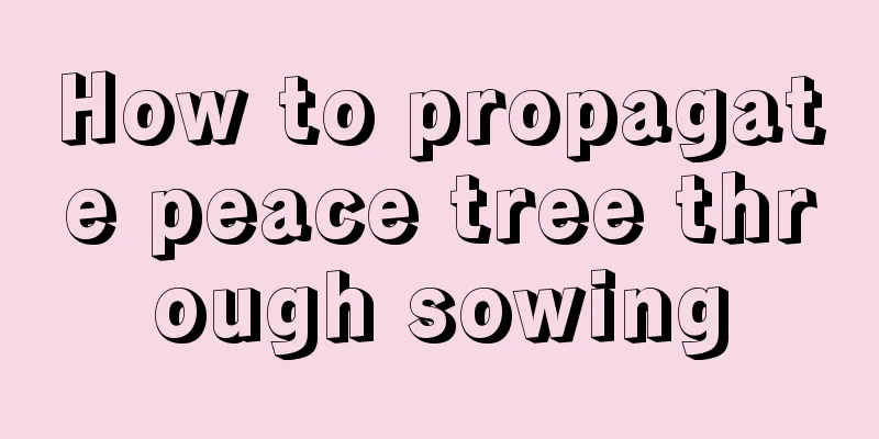 How to propagate peace tree through sowing