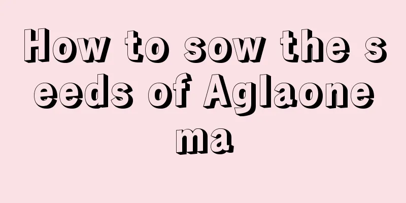 How to sow the seeds of Aglaonema