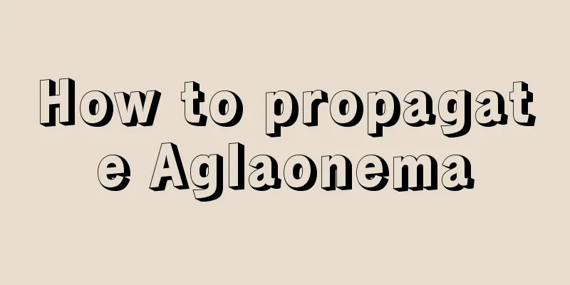 How to propagate Aglaonema