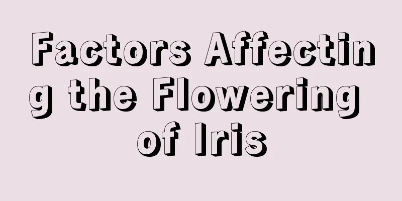 Factors Affecting the Flowering of Iris