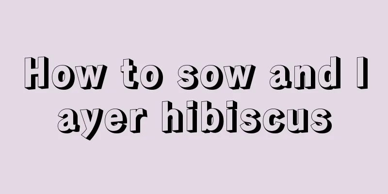 How to sow and layer hibiscus