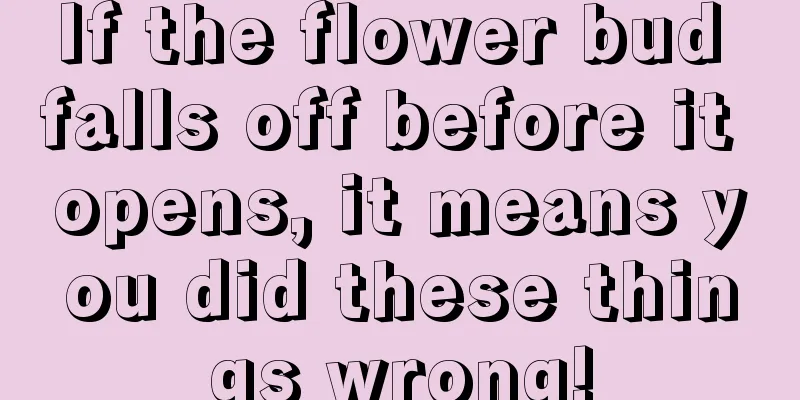 If the flower bud falls off before it opens, it means you did these things wrong!