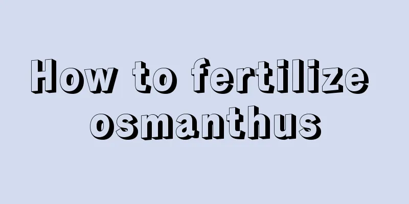 How to fertilize osmanthus